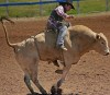 Houston Rodeo 2011