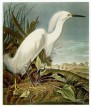 John James Audubon