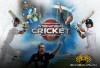international cricket 2010
