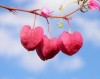 Valentine Day Ideas