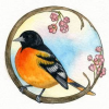 john james audubon painting